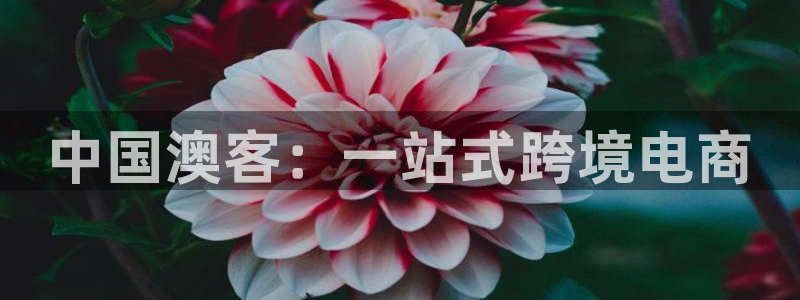 GB果博平台总代理：中国澳客：一站式跨境电商